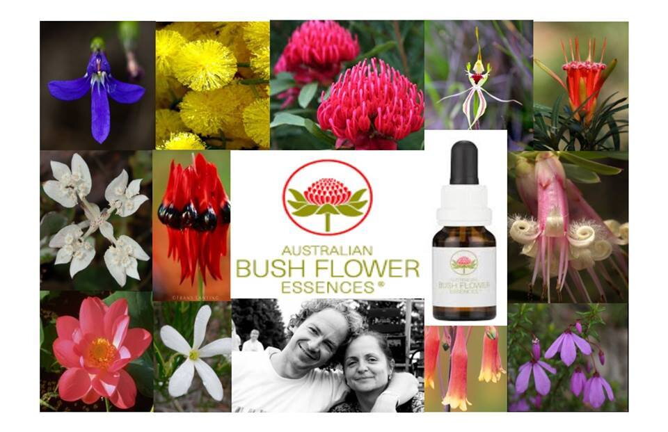 Prečítajte si čo o Austrálskych esenciách povedali naši klienti.